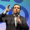 Thượng nghị sỹ Ted Cruz. (Nguồn: AFP/TTXVN)