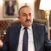 Ngoại trưởng Thổ Nhĩ Kỳ Mevlüt Cavusoglu. (Nguồn: Sputnik)