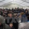 Người tị nạn chờ để đăng ký xin tị nạn. (Nguồn: AFP/TTXVN)