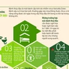 [Infographics] Năm bước cơ bản để phòng chống bệnh thủy đậu