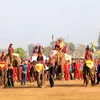 Có tới 68 chú voi tham gia lễ hội năm nay. (Ảnh: Phạm Kiên/Vietnam+)