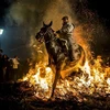 Màn phi ngựa qua lửa ngoạn mục trong Lễ hội Luminarias tại Tây Ban Nha. (Nguồn: NatGeo)