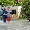 Cảnh ngập lụt sau những trận mưa lớn do ảnh hưởng của bão Irma ở La Habana ngày 9/9. (Nguồn: THX/TTXVN)