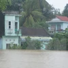 Nhiều ngôi nhà của người dân trên địa bàn huyện Hòa Vang, Đà Nẵng chìm sâu trong nước. (Ảnh Đinh Văn Nhiều/TTXVN)