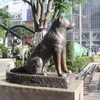 Bức tượng đồng tương đương kích cỡ thật đặt trước cửa nhà ga Shibuya ca ngợi lòng trung thành của Hachiko. (Nguồn: Vietnam+)