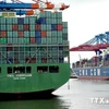 Tàu chở container bỏ neo tại cảng ở Hamburg, thành phố phía bắc Đức. (Nguồn: AFP/TTXVN)
