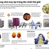 [Infographics] Bên trong nhà máy ấp trứng lớn nhất thế giới