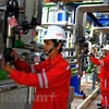 Các kỹ sư vận hành Nhà máy Nhiệt điện Nhơn Trạch 2. (Ảnh: Sỹ Tuyên/Vietnam+)