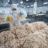 Chế biến hải sản xuất khẩu tại nhà máy ở Liên Vân Cảng, tỉnh Giang Tô, Trung Quốc ngày 5/7. (Nguồn: AFP/TTXVN)