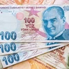 Đồng lira Thổ Nhĩ Kỳ. (Nguồn: Getty Images)