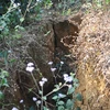 Hiện trạng vết rạn nứt rộng 1 mét trên đồi Cao. (Ảnh: Tuấn Anh/TTXVN)