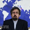 Người phát ngôn Bộ Ngoại giao Iran Bahram Qassem. (Ảnh: AFP/TTXVN) 
