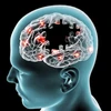 Hàn Quốc phát triển công nghệ chẩn đoán giảm trí nhớ nhờ xét nghiệm
