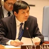 Đại sứ, Trưởng Phái đoàn thường trực Việt Nam tại Liên hợp quốc Đặng Đình Quý. (Ảnh: Hoài Thanh/Vietnam+)