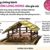 [Infographics] Phòng chống bệnh lở mồm long móng cho gia súc