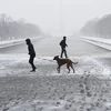 Tuyết phủ trắng xóa tại Washington D.C., Mỹ, ngày 20/2/2019. (Ảnh: THX/TTXVN)