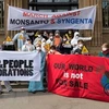 Monsanto bị cáo buộc chi phối giới khoa học và cơ quan quản lý
