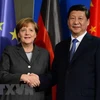 Chủ tịch Trung Quốc Tập Cận Bình và Thủ tướng Đức Angela Merkel (trái). (Nguồn: AFP/TTXVN)