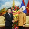 Đại sứ Lào tại Việt Nam Thongsavanh Phomvihane đón Phó Thủ tướng, Bộ trưởng Bộ Ngoại giao Phạm Bình Minh. (Ảnh: Lâm Khánh/TTXVN) 