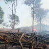 Cháy rừng do người dân đốt nương làm rẫy tại huyện Phong Thổ, tỉnh Lai Châu. (Ảnh: Quý Trung/TTXVN)