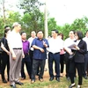 Đoàn đại biểu Châu ủy Châu Văn Sơn đi khảo sát cơ sở hợp tác trồng mía xuất khẩu tại xã Phong Quang, huyện Vị Xuyên, tỉnh Hà Giang. (Ảnh: Duy Tuấn/TTXVN)