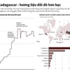 [Infographics] Vani Madagascar - hương liệu đắt đỏ hơn bạc
