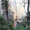 Lực lượng chức năng nỗ lực khống chế đám cháy rừng vào cuối tháng 6/2019. (Ảnh: Hoàng Ngà/TTXVN)