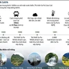 [Infographics] Thị trấn Sa Pa - Điểm đến hấp dẫn du khách