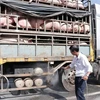 Cán bộ thú y phun thuốc tiêu độc, sát trùng phương tiện vận chuyển lợn. (Ảnh Công Trí/TTXVN)
