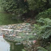 Một nhánh sông Bắc Hưng Hải, đoạn qua huyện Văn Lâm, Hưng Yên với nguồn nước ô nhiễm nghiêm trọng, đe dọa đến sức khỏe người dân. (Ảnh: Lan Chi/TTXVN)