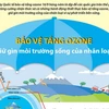 [Infographics] Bảo vệ tầng ozone, giữ gìn môi trường sống 