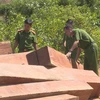 Hiện trường vụ phá rừng tại huyện Ea Kar, tỉnh Đắk Lắk. (Nguồn: TTXVN)