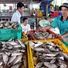 Thu mua cá tại cảng cá Tắc Cậu, huyện Châu Thành, Kiên Giang. (Ảnh: Huy Hùng/TTXVN)