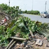 Vật liệu xây dựng, thủy tinh, rác thải sinh hoạt được đổ tràn lan trên tuyến đường tránh thành phố Nam Định. (Ảnh: Công Luật/TTXVN)