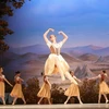Giselle là vở vũ kịch điển hình của thể loại ballet lãng mạn. (Ảnh: Thành Đạt/TTXVN)