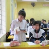 Học sinh trung học phổ thông. (Nguồn: Vietnam+)