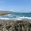 Rạn san hô cổ hóa thạch do sóng biển bào mòn tạo thành nhiều hình dáng lạ mắt. (Ảnh: Nguyễn Thành/TTXVN)