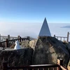Sương muối phủ trắng trên đỉnh Fansipan. (Ảnh: Quốc Khánh/TTXVN)
