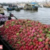 Chợ nổi Cái Răng là một chợ đầu mối nông sản nổi tiếng ở vùng Đồng bằng sông Cửu Long. (Nguồn: Báo Ảnh Việt Nam)