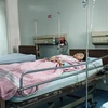 Em Trần Trọng N. hiện đang nằm điều trị tại Khoa Phẫu thuật gây mê hồi sức của bệnh viện Đa khoa tỉnh Quảng Trị. (Ảnh: Thanh Thủy/TTXVN)