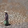 Cánh đồng khô nứt nẻ do hạn hán tại tỉnh Suphanburi , Thái Lan. (Ảnh: AFP/TTXVN)