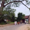 Cổng làng Đường Lâm. (Ảnh: Thanh Hà/TTXVN)