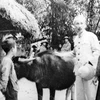 Chủ tịch Hồ Chí Minh đến thăm một gia đình nông dân vừa được chia ruộng trong Cải cách ruộng đất, năm 1955. (Ảnh: Tư liệu/TTXVN)
