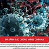 [Infographics] So sánh các chủng thuộc họ virus corona