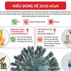 [Infographics] Hiểu đúng về 2019-nCoV theo khuyến nghị của WHO