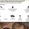 [Infographics] 1.777 vụ vi phạm về động vật hoang dã trong năm 2019