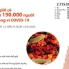 [Infographics] Thế giới có hơn 190.000 người tử vong vì COVID-19