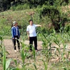 Cán bộ Sở Tài nguyên và Môi trường tỉnh Tuyên Quang kiểm tra khu vực bờ sông thuộc địa phận thôn 4, xã Thái Bình, huyện Yên Sơn. (Ảnh: Quang Cường/TTXVN)