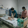 Bệnh nhân bị Viêm não Nhật Bản được điều trị tại Bệnh viện Đa khoa vùng Tây Nguyên. (Ảnh: Tuấn Anh/TTXVN)