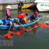 Thu gom rác thải nhựa trên mặt biển vùng khu vực cảng Quy Nhơn, tỉnh Bình Định. (Ảnh: Nguyên Linh/TTXVN